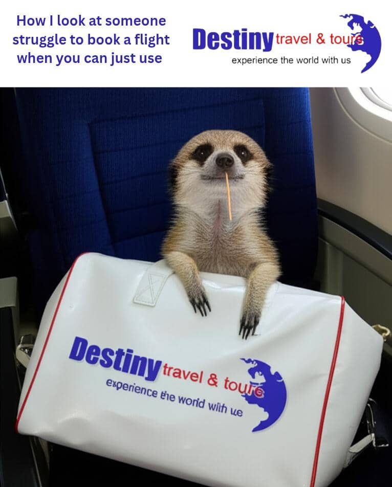 Why use a travel agent